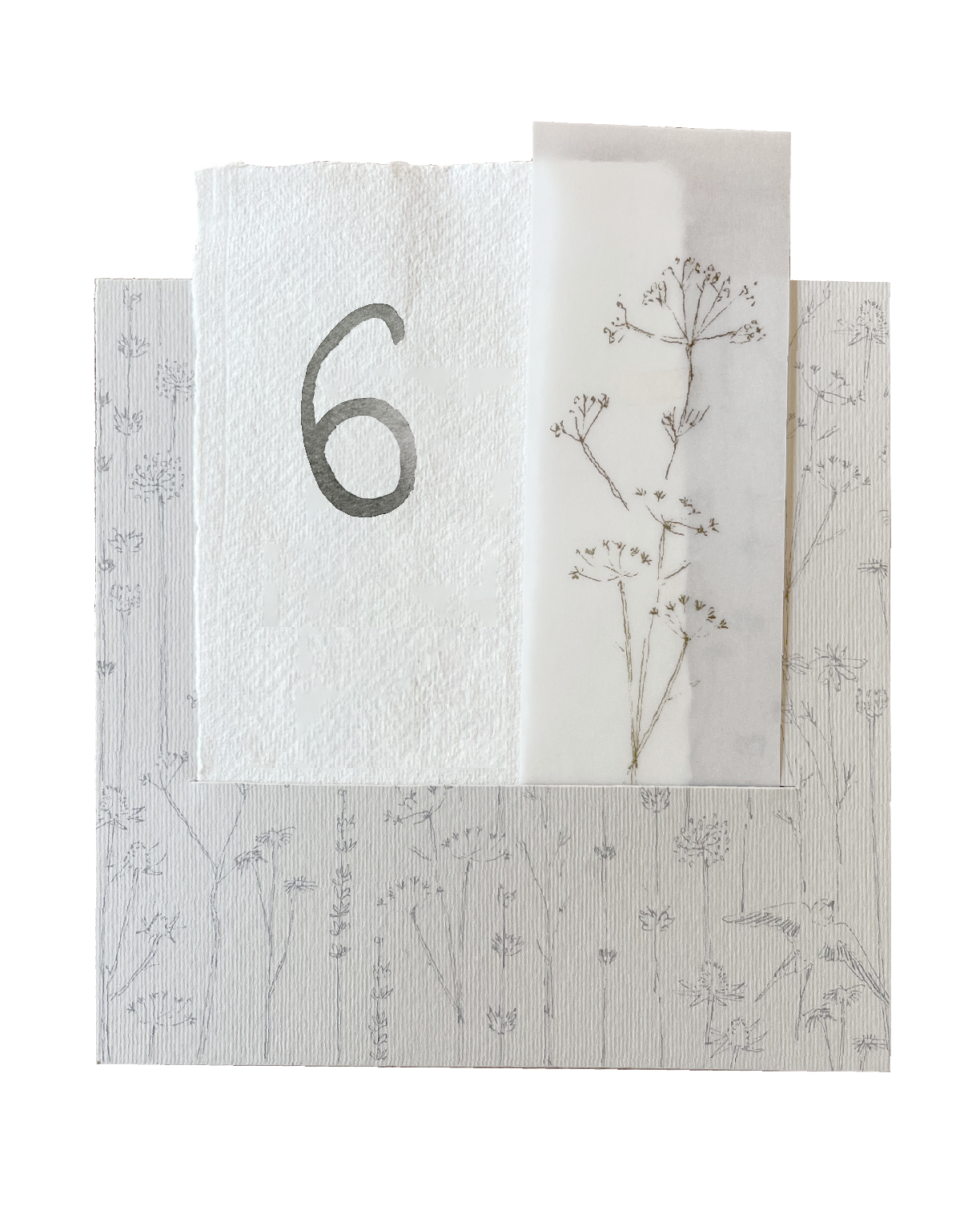 Mesero Perla Números