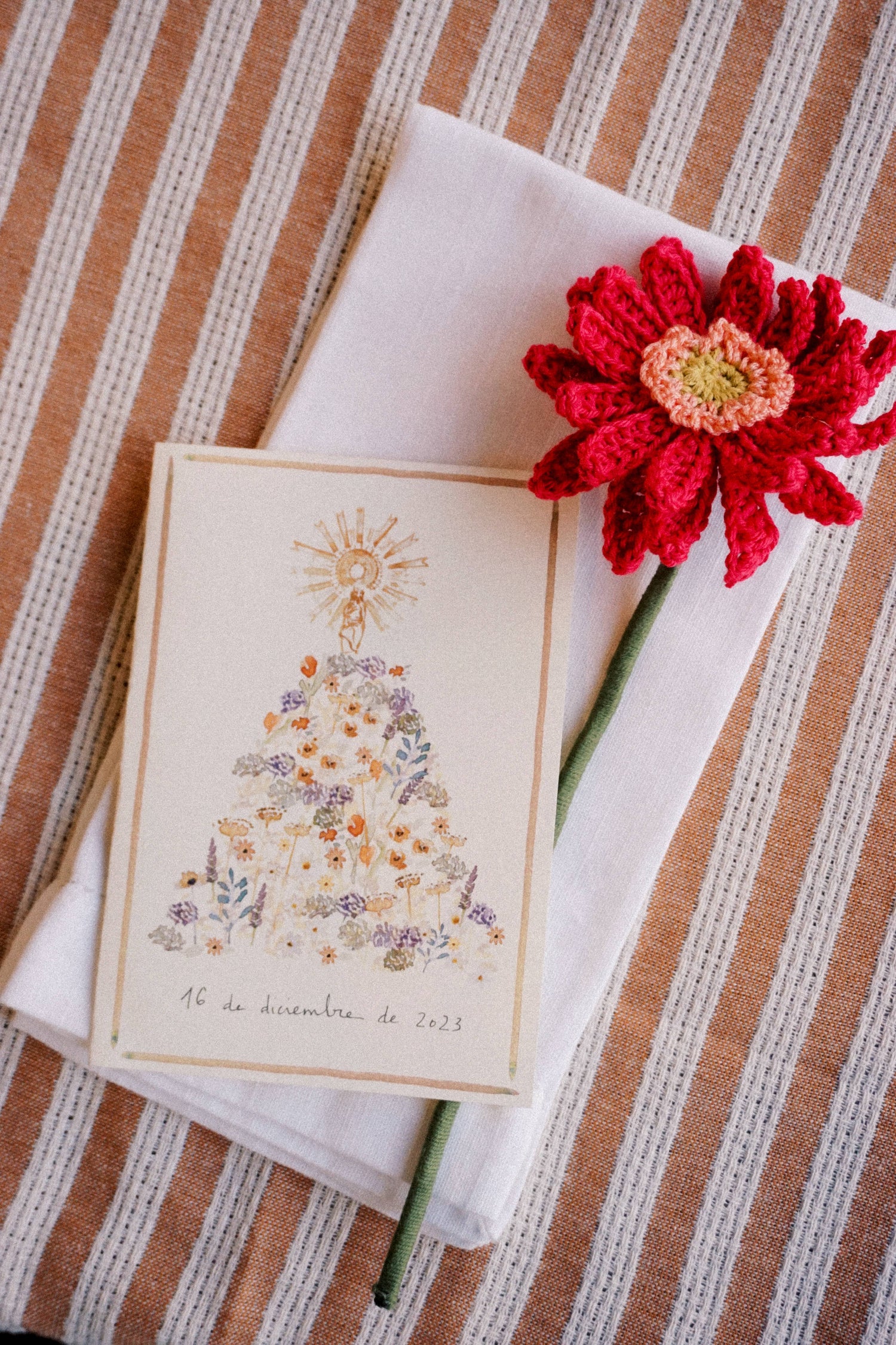 Pack Gerberas de Crochet