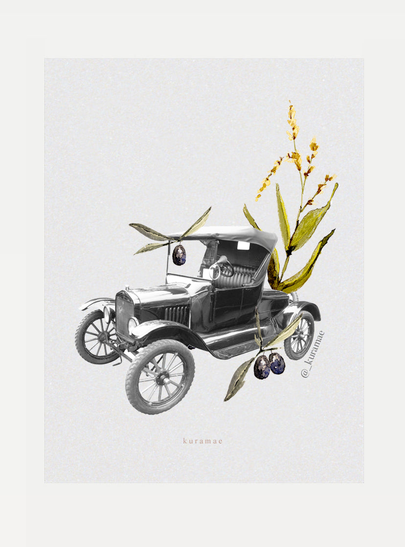 Coche olivo