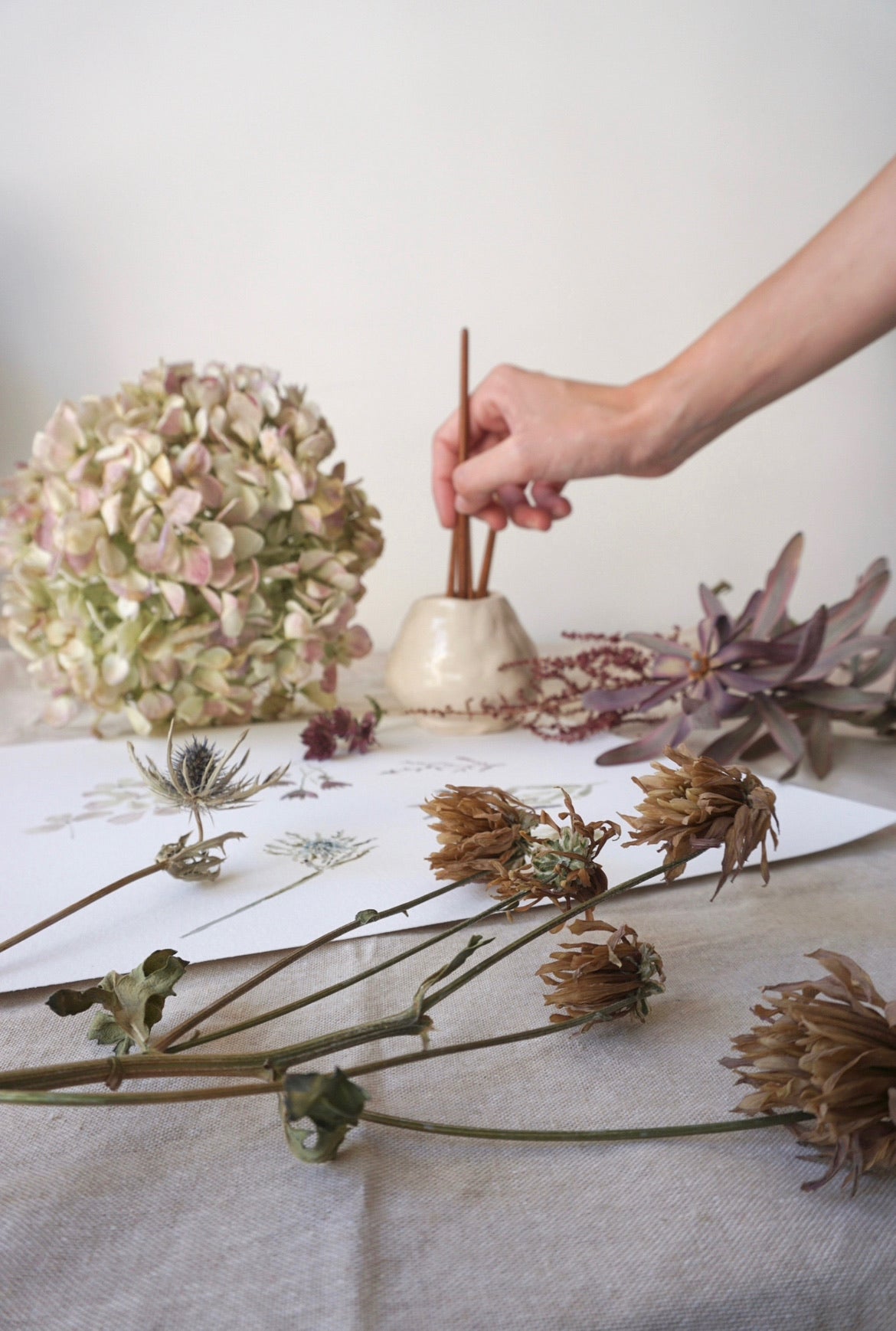 Taller semanal MIÉRCOLES