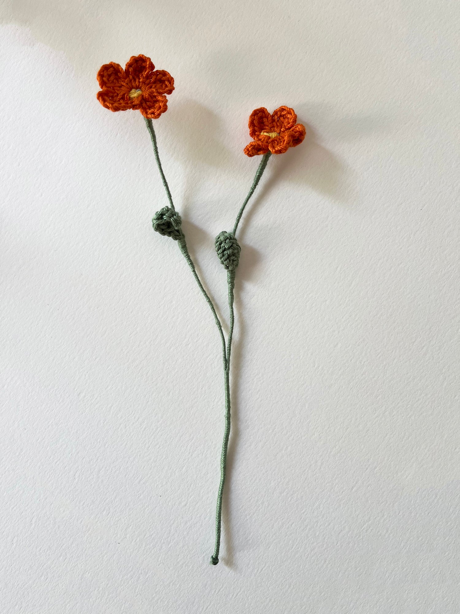 Pack Margaritas de Crochet