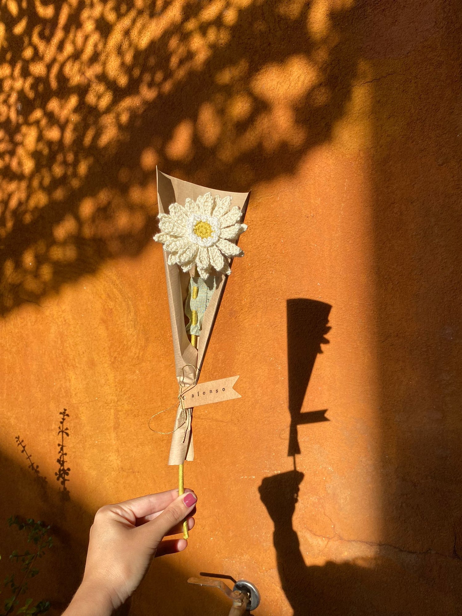 Pack Gerberas de Crochet